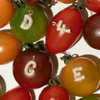 Diamond Initial Letter Pendant | Lab Grown Diamond | 14K Yellow Gold Pave Alphabet Charm